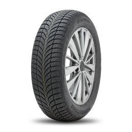 Roadstone Winguard SnowG WH2 195/65R15 95T  XL